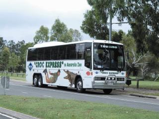 Croc Express To Australia Zoo